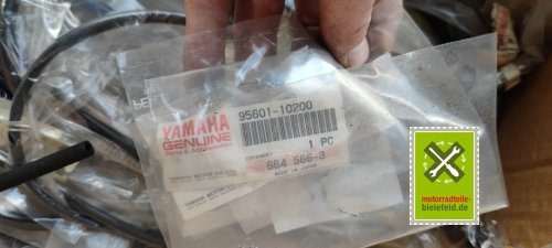 IMG_20230828_103952